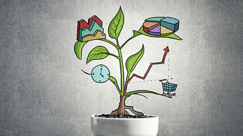 Topfpflanze-Diagramme-134777355-AS-adam121