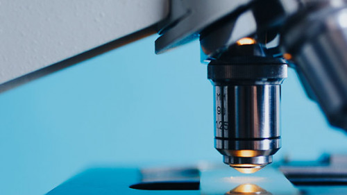 Mikroskop-2030265-PB-kkolosov