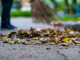 Frau-Laubfegen-287497497-AS-saran