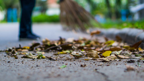 Frau-Laubfegen-287497497-AS-saran