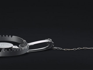 Baerenfalle-128670556-AS-easyasaofficial