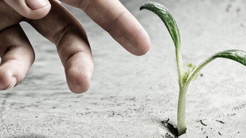 Hand-Trieb-117814462-AS-Sergey-Nivens