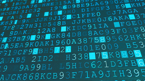 Code-297841416-AS-knowhowfootage