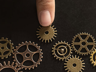 Finger-Zahnraeder-294468714-AS-PIC-SNIPE