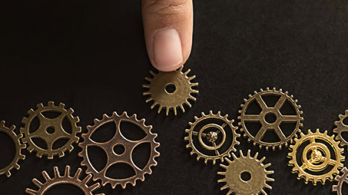 Finger-Zahnraeder-294468714-AS-PIC-SNIPE