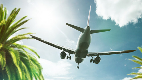 Flugzeug-Palmen-87093940-AS-lassedesignen