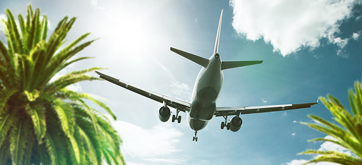 Flugzeug-Palmen-87093940-AS-lassedesignen