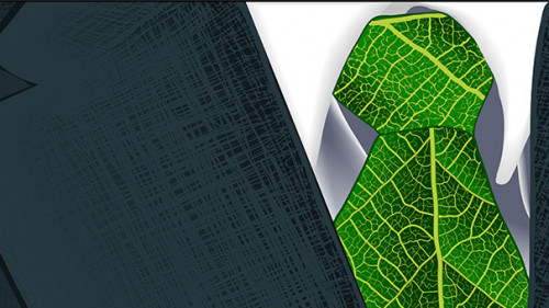 Gruene-Krawatte-77105294-FO-DreamcatcherDiana