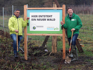 Bessergruen-Waldpflanzen-2-2019-NV