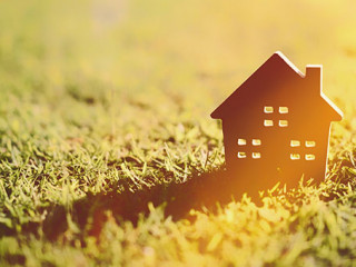 Haus-in-Gras-294755700-AS-tonktiti