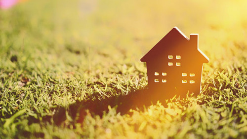 Haus-in-Gras-294755700-AS-tonktiti