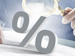 Frau-Lupe-Prozent-115914385-AS-Sergey-Nivens