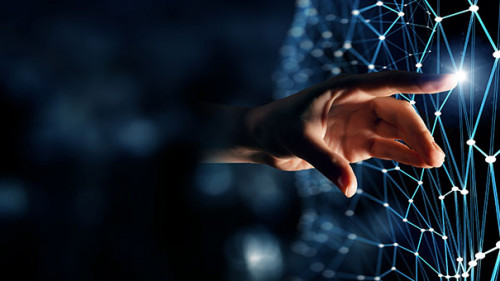 Hand-Netzwerk-245065140-AS-Sergey-Nivens