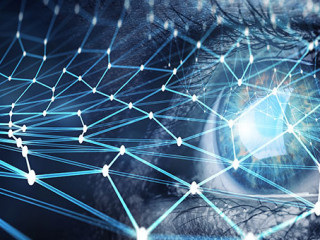 Auge-Netzwerk-297026715-AS-Sergey-Nivens