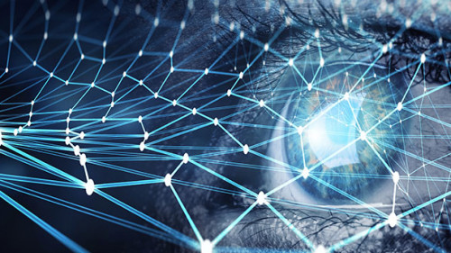 Auge-Netzwerk-297026715-AS-Sergey-Nivens