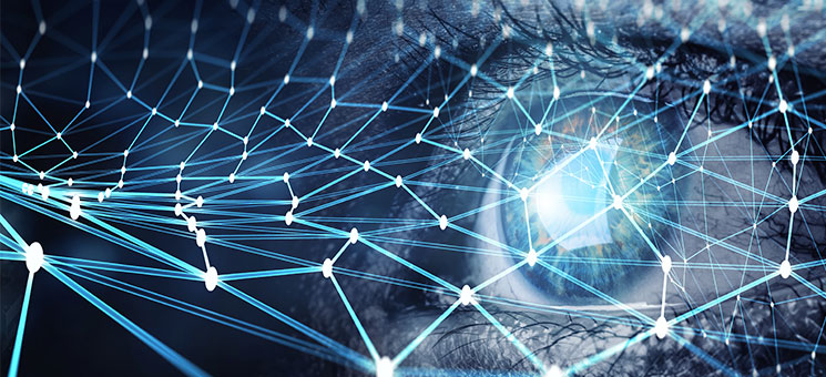Auge-Netzwerk-297026715-AS-Sergey-Nivens