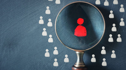 Lupe-277061511-AS--tomertu