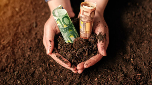 Haende-Erde-Geldscheine-170874919-FO-Bits-and-Splits