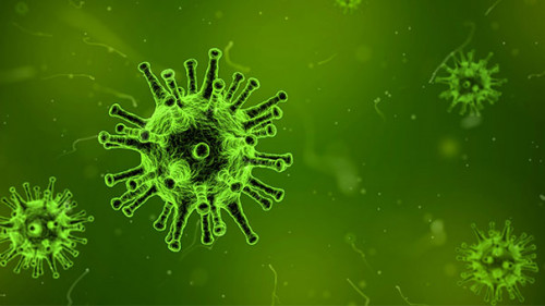 Virus-1812092-PB-qimono