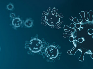 Viren-4835301-PB-mattthewafflecat