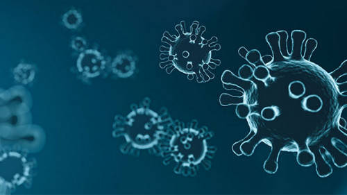 Viren-4835301-PB-mattthewafflecat