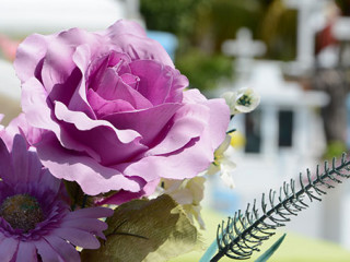 Friedhof-948048-PB-vlanka