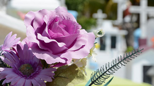 Friedhof-948048-PB-vlanka