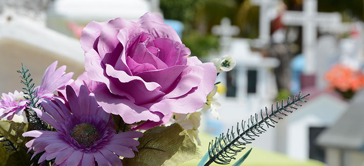 Friedhof-948048-PB-vlanka