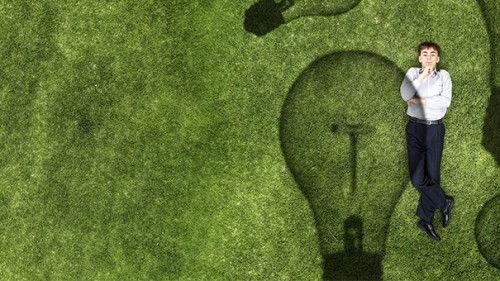 Wiese-Gluehbirnen-205719100-AS-Sergey-Nivens