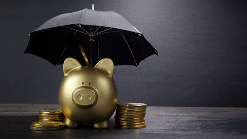 Sparschwein-Schirm-Muenzstapel-272268052-AS-vetre