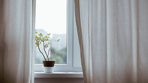 Blume-an-Fenster-1854110-PB-Pexels