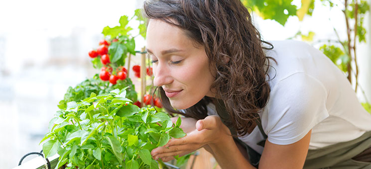Frau-Balkon-Tomaten-167426752-AS-Production-Perig