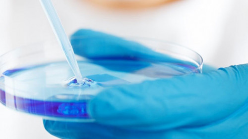 Petrischale-220005-PB-PublicDomainPictures