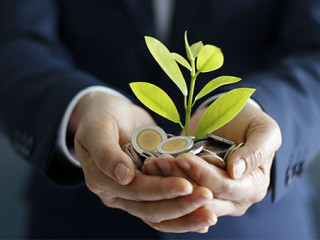 Geld-Pflanze-Hand-195166050-AS-ipopba