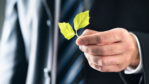 Anzugtraeger-Blatt-245369942-AS-terovesalainen