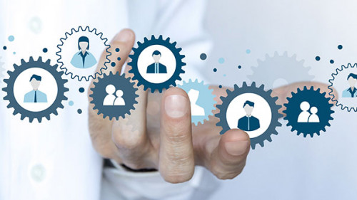 Hand-Zahnraeder-Koepfe-291336309-AS-xyz