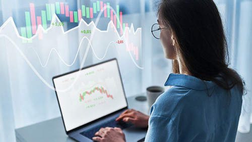 Frau-Laptop-Boerse-333908319-AS-Goffkein