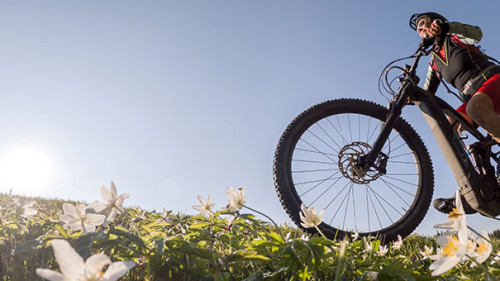 Frau-E-Bike-337731723-AS-Uwe