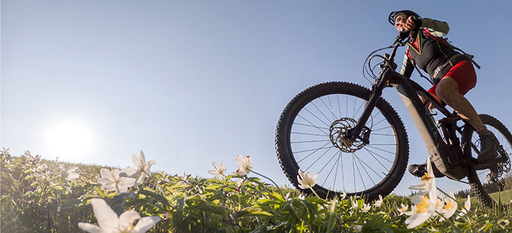 Frau-E-Bike-337731723-AS-Uwe