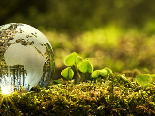 Weltkugel-Moos-150888754-AS-rangizzz