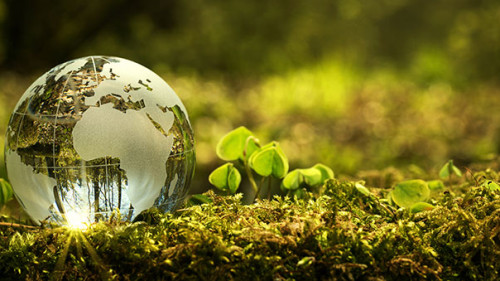 Weltkugel-Moos-150888754-AS-rangizzz