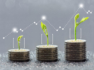 Muenzstapel-Triebe-Diagramm-137648639-AS--THANIT