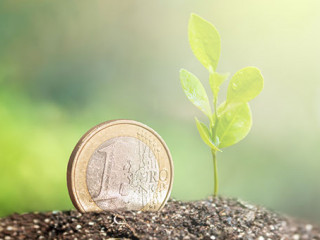 Euro-Trieb-257209314-AS-Sondem