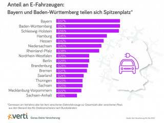 Anteil an E-Fahrzeugen.jpg