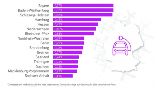 Anteil an E-Fahrzeugen.jpg