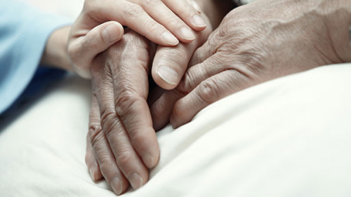 Haende-52303877-AS-Arman-Zhenikeyev