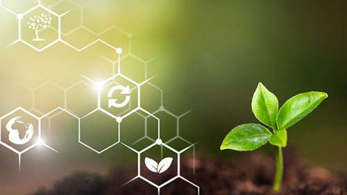 Spross-293662508-AS-BillionPhotos-com