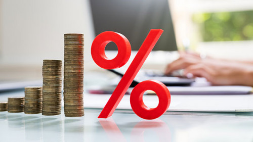 Muenzstapel-Prozent-Laptop-357290791-AS-Andrey-Popov