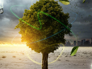 Baum-Sturm-41664231-AS-lassedesignen