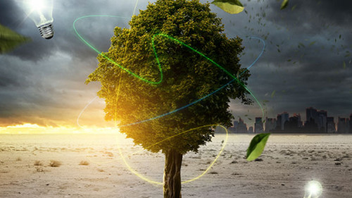 Baum-Sturm-41664231-AS-lassedesignen